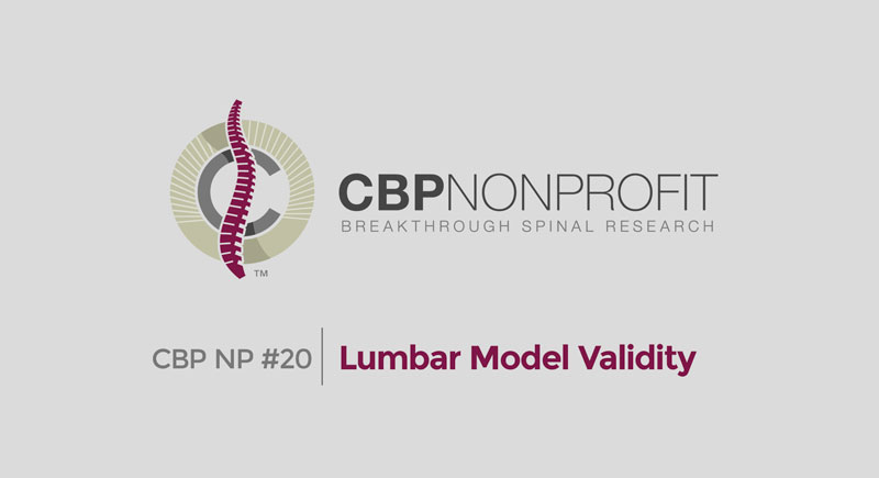 CBP NP #20: Lumbar Model Validity