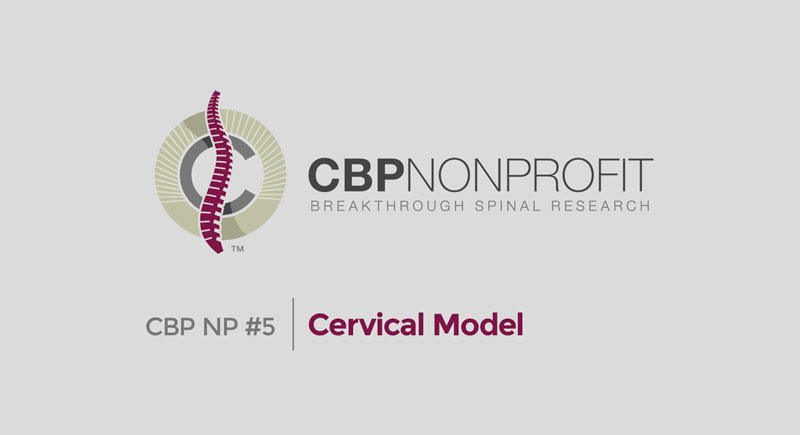 CBP NP #5: Cervical Model