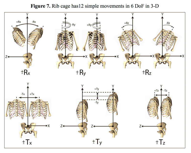 Postures and Direction of Movement